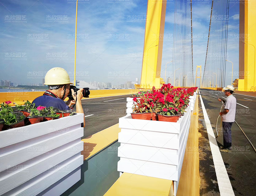 橋梁馬鞍式花箱